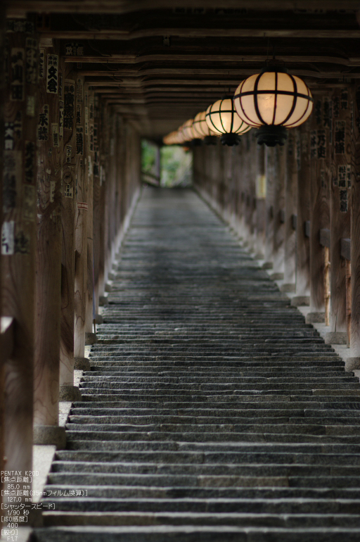 2011_4_長谷寺・桜_37.jpg