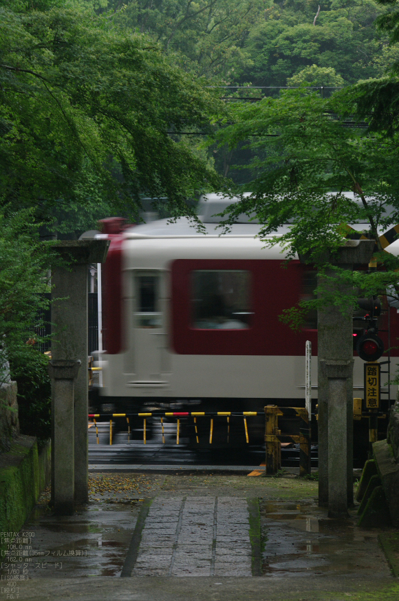 2011_6_久米寺・紫陽花_14.jpg