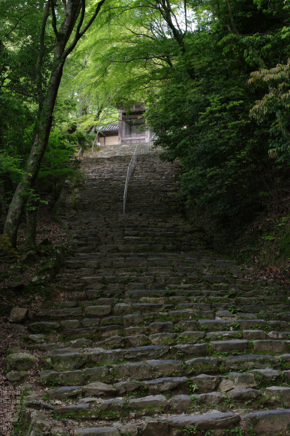 2011_6_神護寺・新緑_2.jpg