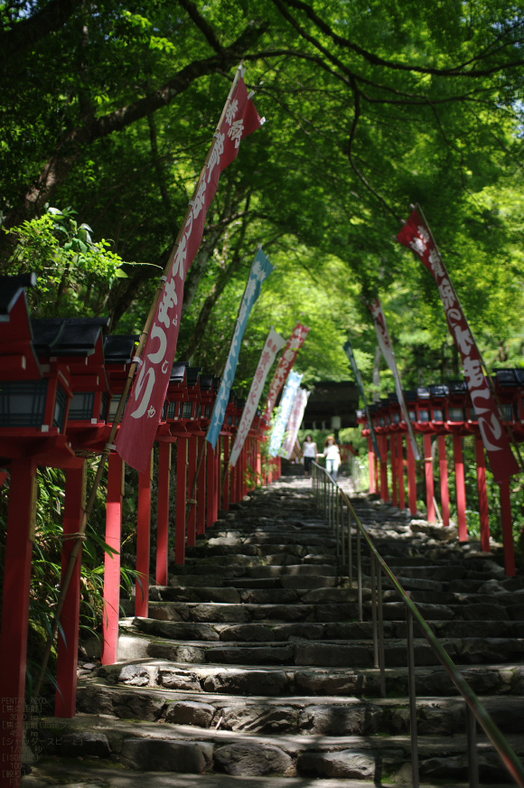 2011_7_貴船神社・夏_2.jpg