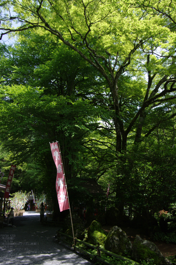 2011_7_貴船神社・夏_8.jpg