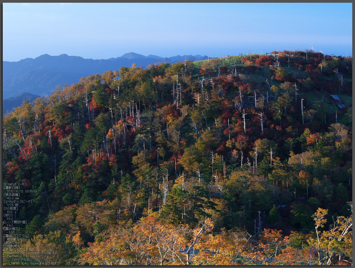 http://www.yaotomi.co.jp/blog/walk/2012%E5%A4%A7%E5%8F%B0%E3%82%B1%E5%8E%9F%E7%B4%85%E8%91%89_yaotomi_EPL5_15t.jpg