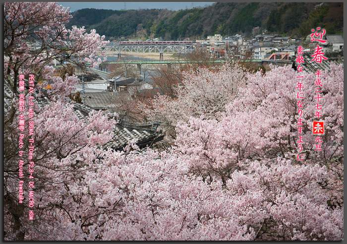 2015年,お写ん歩年賀状_2015yaotomi.jpg