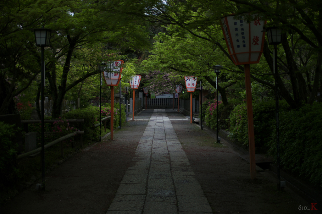 http://www.yaotomi.co.jp/blog/walk/DIAK9645sds3-.jpg