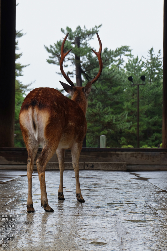 FUJIFILM,X-M1_2013yaotomi_東大寺_3s.jpg