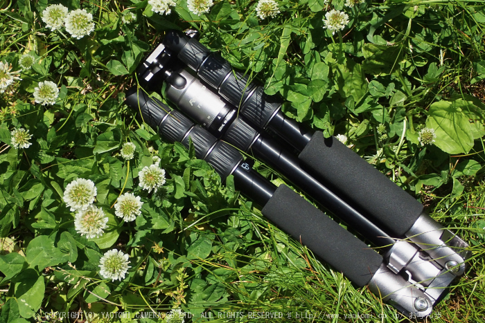 お写ん歩: SIGMA SD1Merrillアーカイブ お写ん歩: SIGMA SD1Merrillアーカイブ