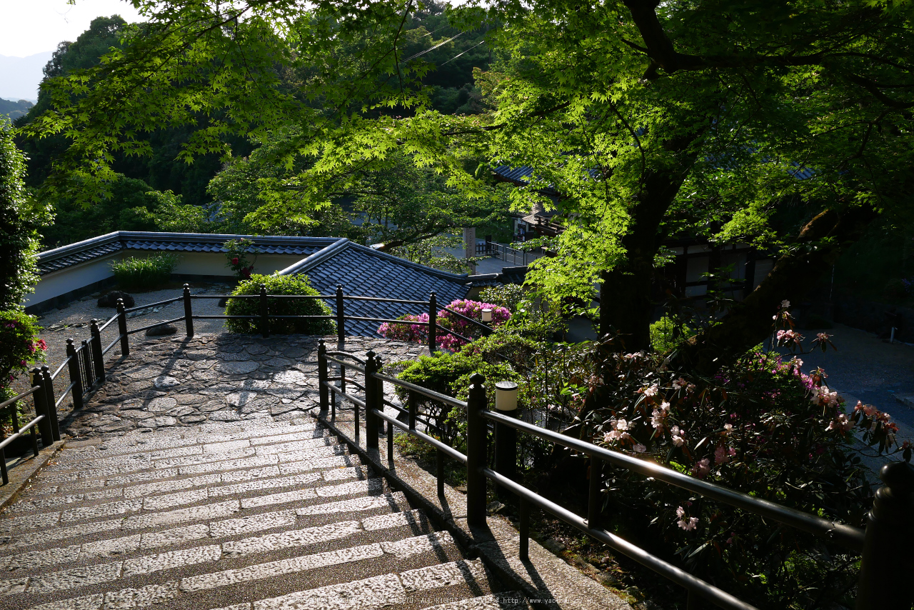 http://www.yaotomi.co.jp/blog/walk/GX7MarkII%2C%E5%B2%A1%E5%AF%BA%28P1000075%2C15%20mm%2CF5.6%292016yaotomi.jpg