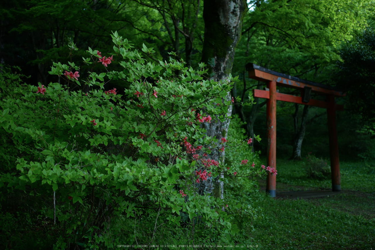 http://www.yaotomi.co.jp/blog/walk/GX7MarkII%2C%E9%B3%A5%E8%A6%8B%E5%B1%B1%28P1000148%2C15%20mm%2CF1.7%292016yaotomi.jpg