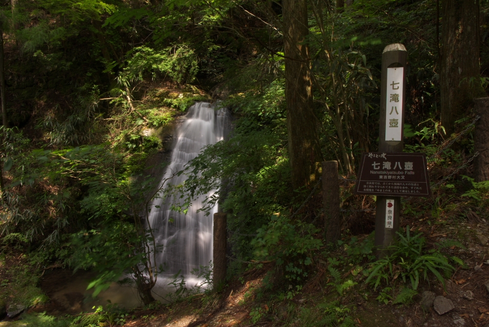 http://www.yaotomi.co.jp/blog/walk/IMGP9401sds3-.jpg