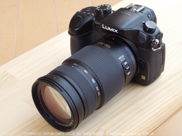 Panasonic Lumix GH3 ／ 三岐鉄道 ナローゲージ北勢線 2013春 - お写ん歩