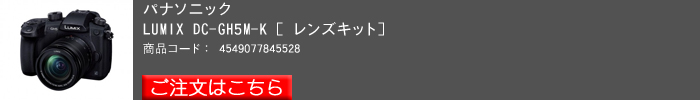 Lumix,GH5(レンズキット)_2017yaotomi.jpg