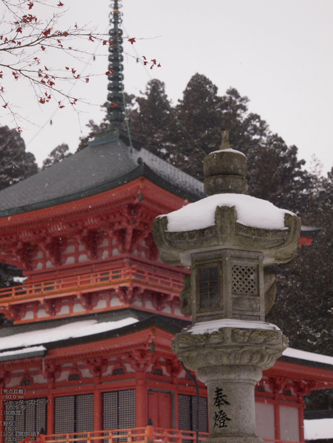 M.ZUIKO-DIGITAL-ED-12-50mm-F3.5-6.3-EZ_2012比叡山雪景_19.jpg