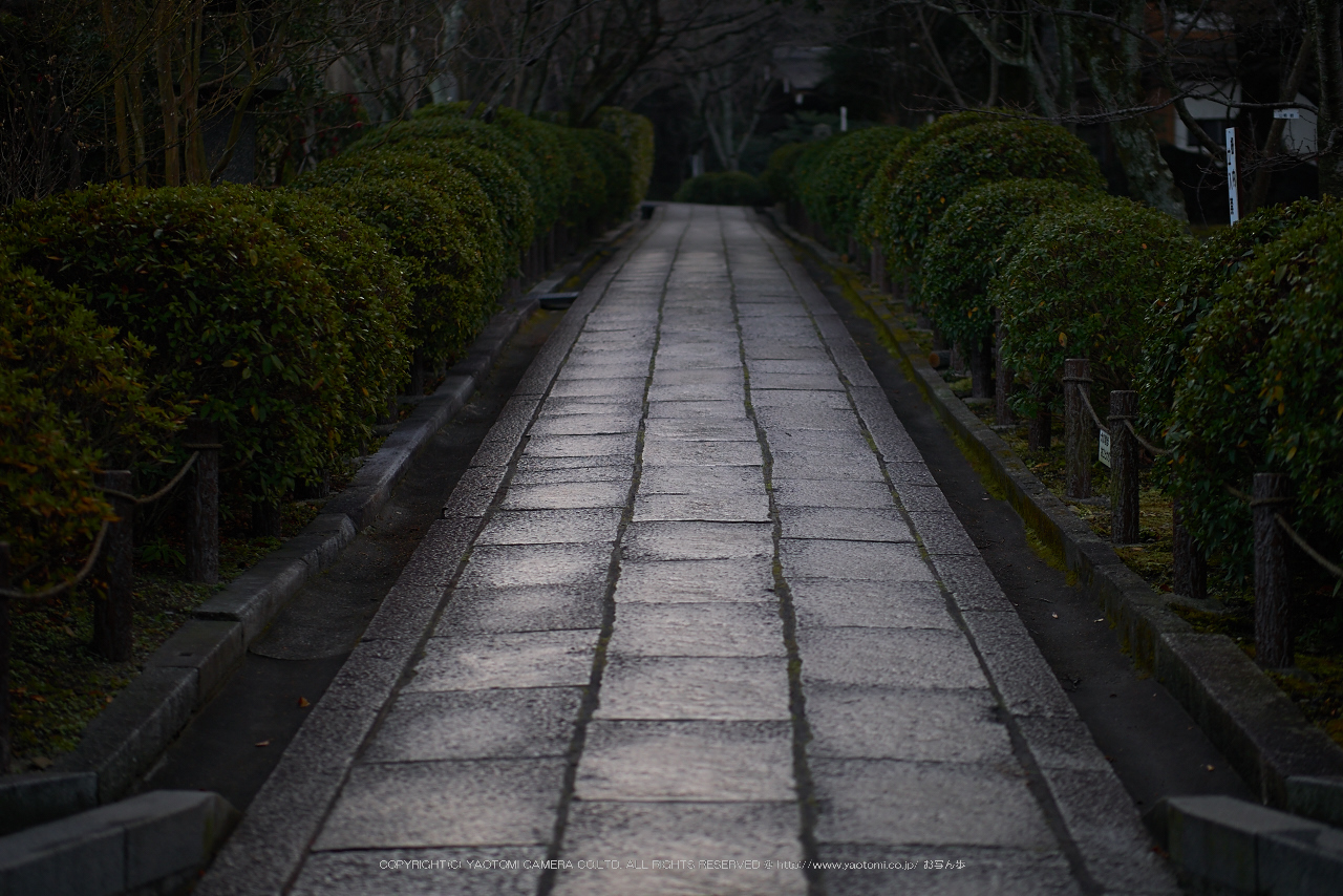 http://www.yaotomi.co.jp/blog/walk/NOCTICRON%28F1.4%29_07-24-01_Cap2014yaotomi_.jpg