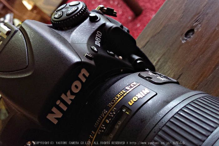 Nikon,D810,2014yaotomi_2.jpg