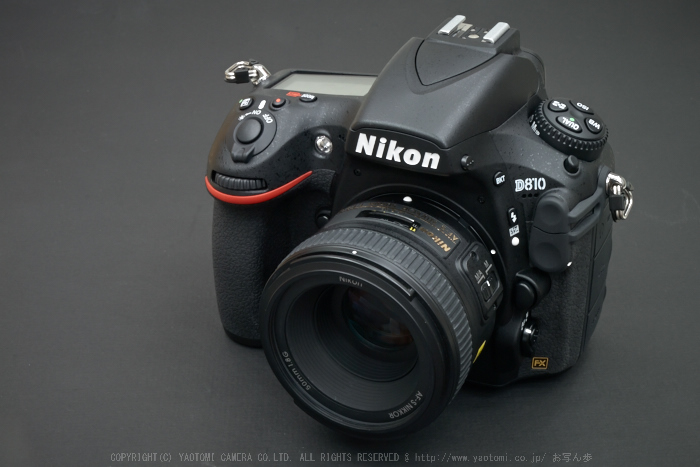 宝泉院 シュウカイドウ（秋海棠）咲く頃 2014 ／ Nikon D810 with AF-S 