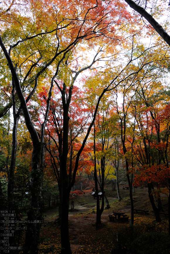 NikonV1_笠置寺・紅葉_2011_2.jpg