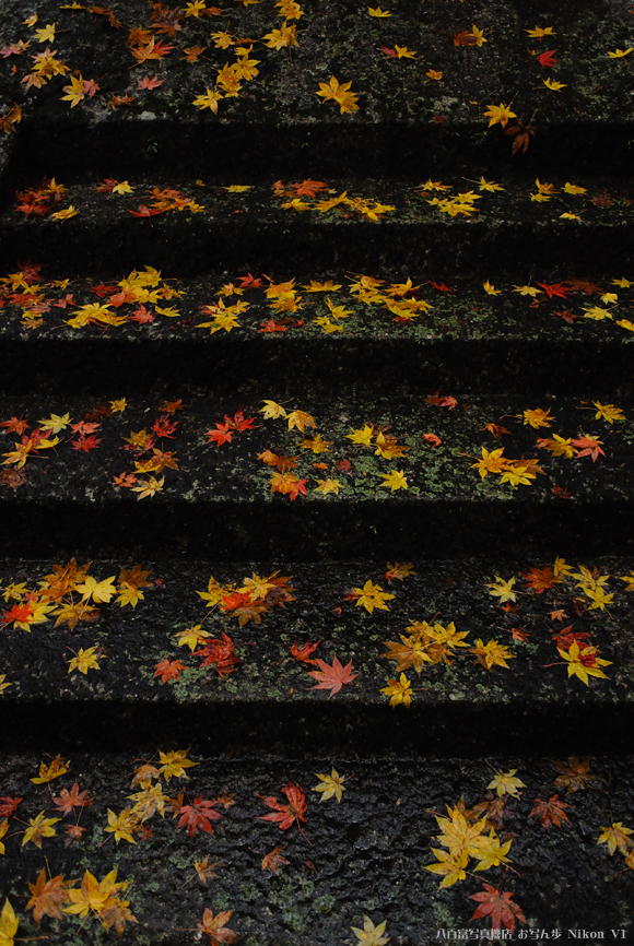 NikonV1_笠置寺・紅葉_2011_5.jpg