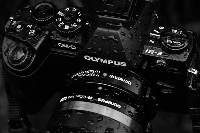 OLYMPUS,M,ED,40_150mm,F2.8,PRO_2014yaotomi_06.jpg