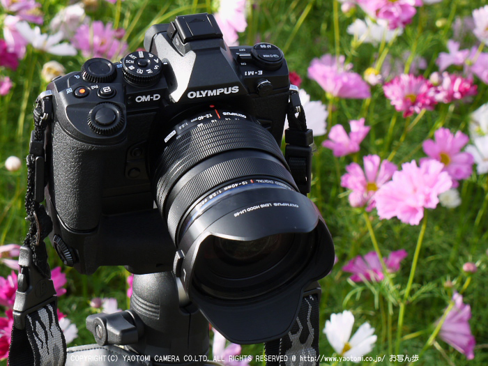 お写ん歩: OLYMPUS M.ZUIKO DIGITAL ED 12-40mm F2.8 PROアーカイブ