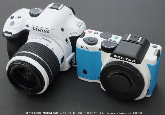 PENTAX K-50 review ／ 京都 智積院 紫陽花 【2013】 - お写ん歩