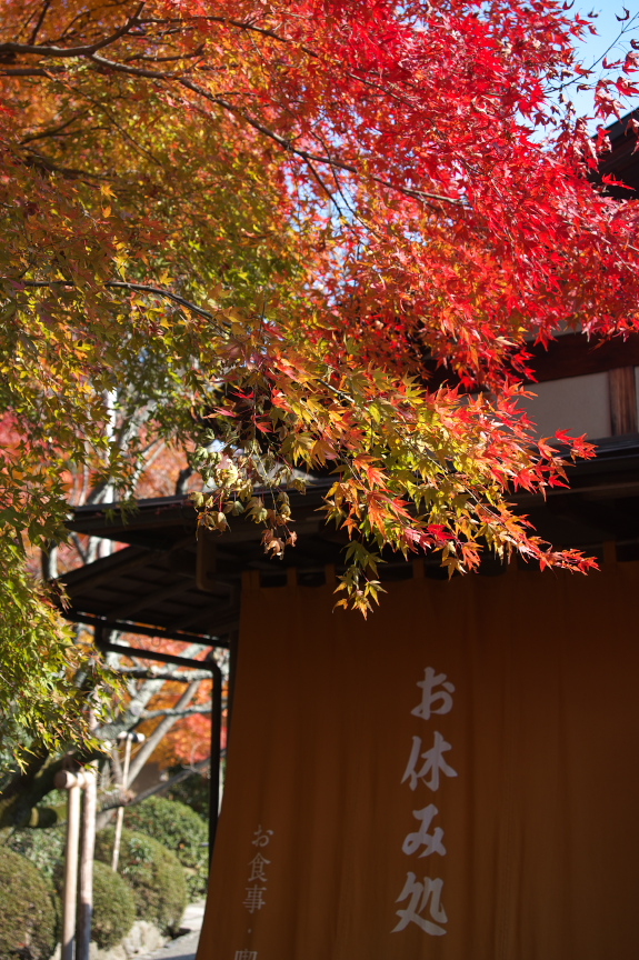 HD PENTAX-DA 20-40mmF2.8-4ED Limited DC WR ／ 龍安寺 紅葉 2013