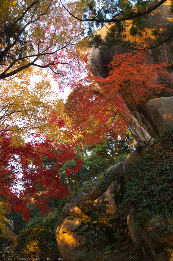 P_K33507_SIL(17mm,F5,6),笠置寺,紅葉,2013yaotomi_a.jpg