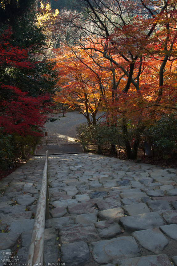 P_K33882_SIL(21mm,F7,1,iso400)_2013yaotomi_.jpg