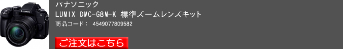 Panasonic,G8_キット.jpg