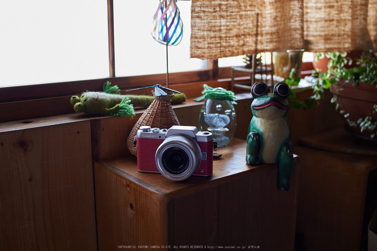 http://www.yaotomi.co.jp/blog/walk/Panasonic%2CGF7%2C2015yaotomi_01.jpg