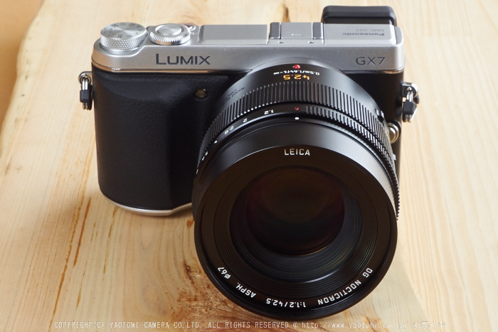 Panasonic Leica NOCTICRON 42.5mm F1.2 実用 | hartwellspremium.com