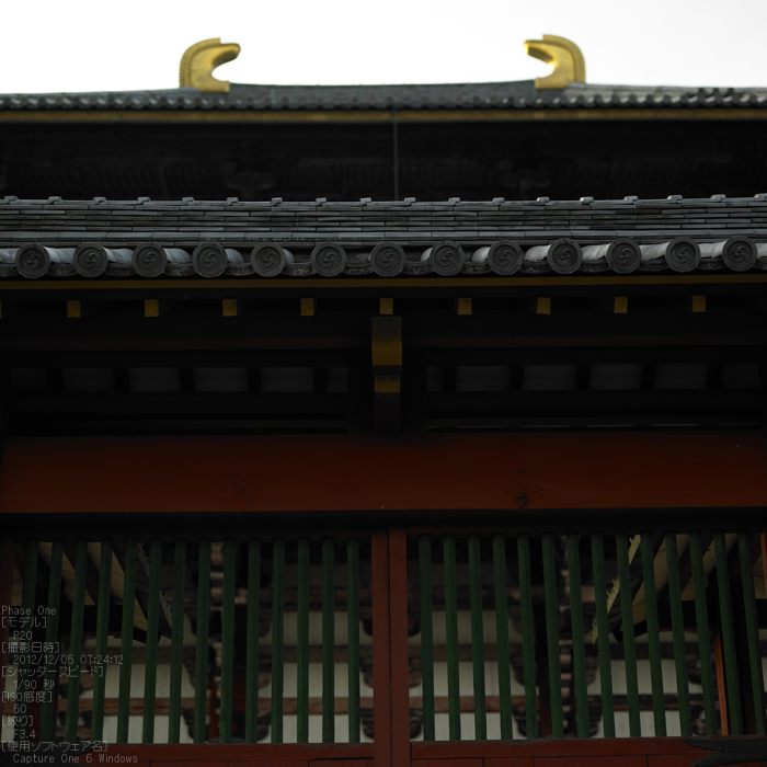 PhaseOne_P20_奈良東大寺_201212yaotomi_15s.jpg