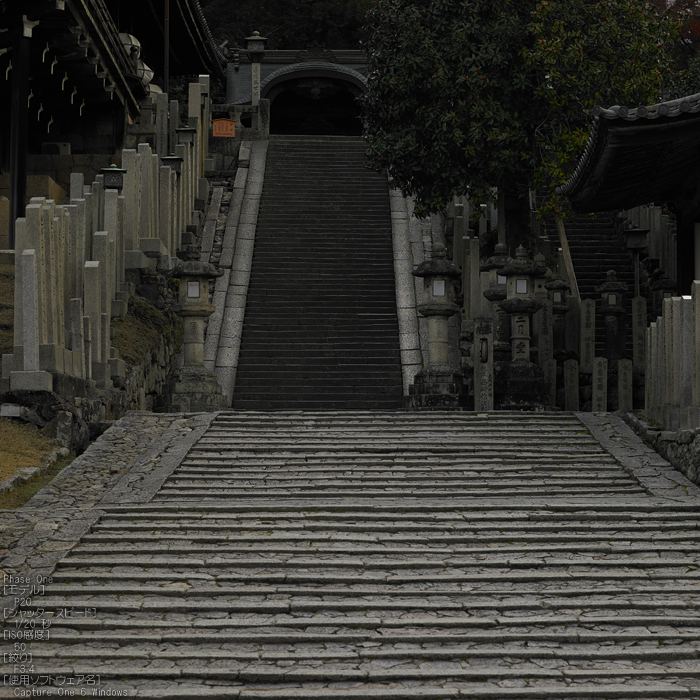 PhaseOne_P20_奈良東大寺_201212yaotomi_21s.jpg