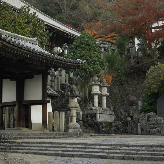 PhaseOne_P20_奈良東大寺_201212yaotomi_23s.jpg