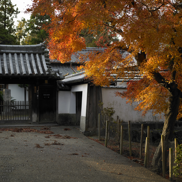 PhaseOne_P20_奈良東大寺_201212yaotomi_26s.jpg