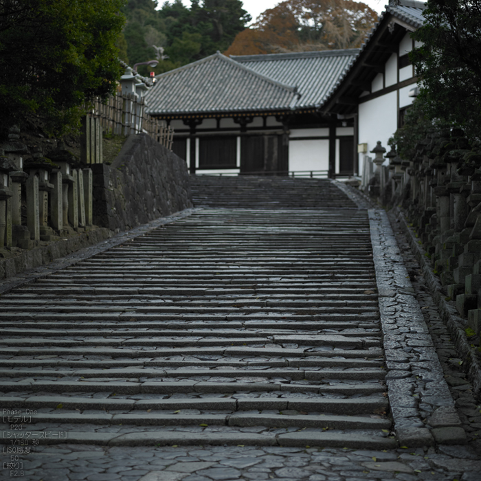 PhaseOne_P20_奈良東大寺_201212yaotomi_27s.jpg