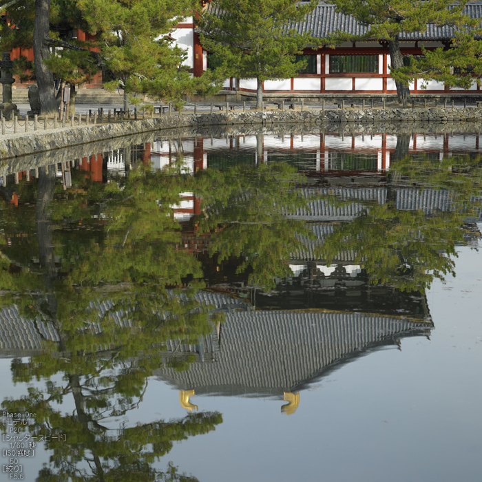 PhaseOne_P20_奈良東大寺_201212yaotomi_30s.jpg