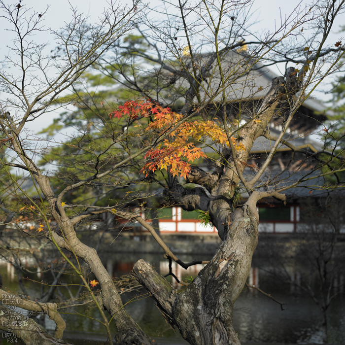 PhaseOne_P20_奈良東大寺_201212yaotomi_31s.jpg