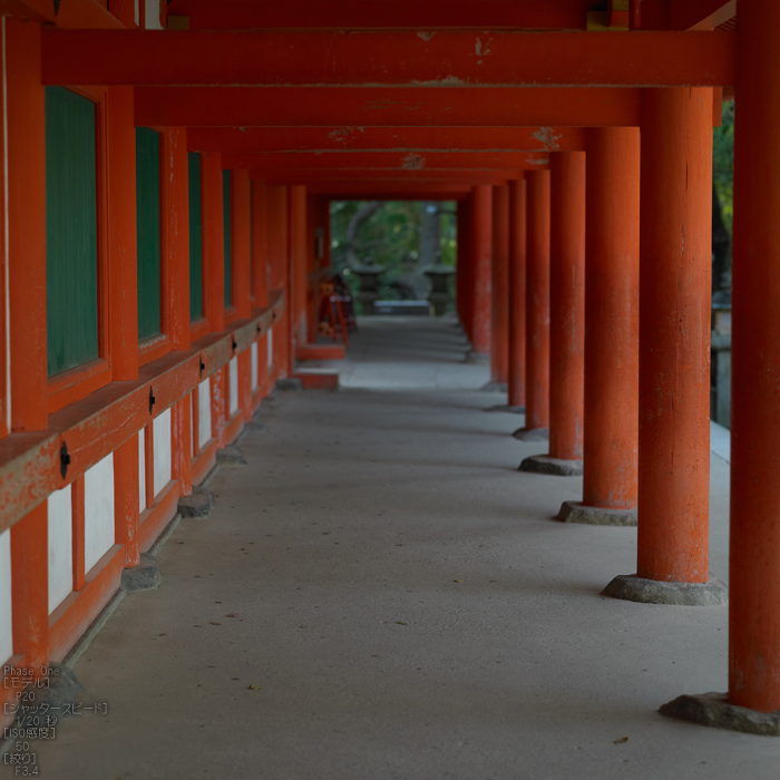 PhaseOne_P20_奈良東大寺_201212yaotomi_36s.jpg