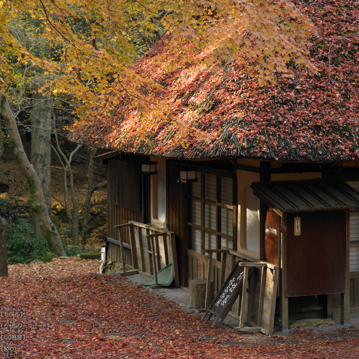 PhaseOne_P20_奈良東大寺_201212yaotomi_51s.jpg