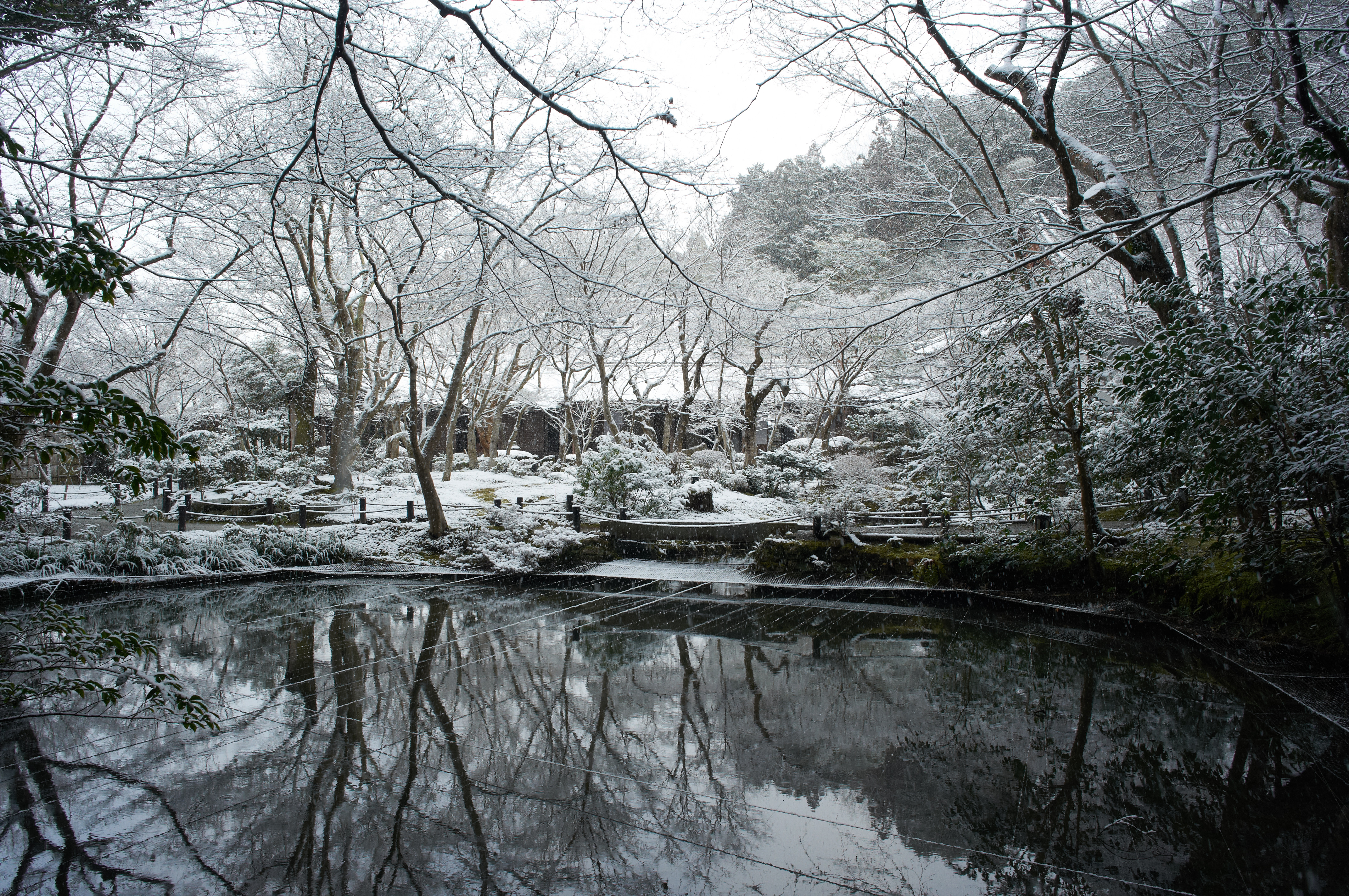 http://www.yaotomi.co.jp/blog/walk/R0010612_f-8_1-60%20%E7%A7%92_100_18.3%20mm_.jpg