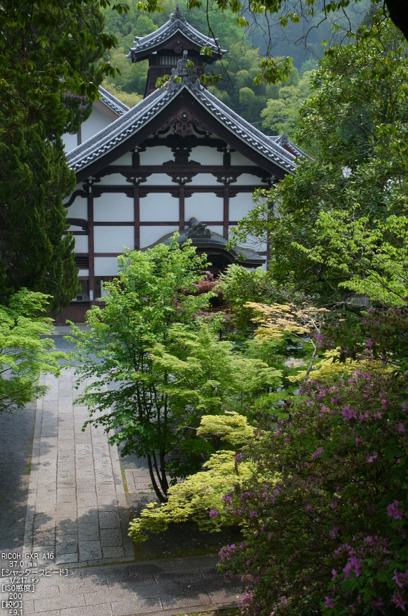 RICOH_GXR_A16_光明寺・新緑_2012_yaotomi_10.jpg