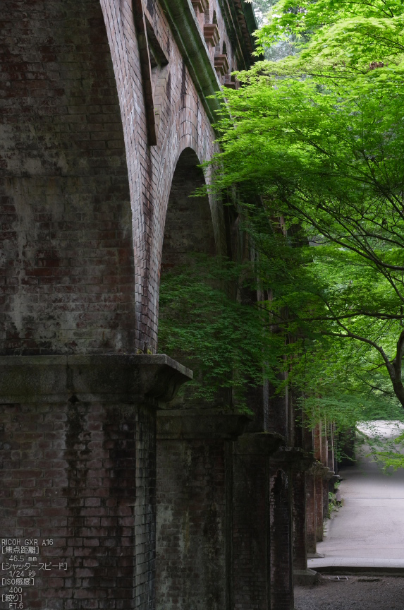 RICOH_GXR_A16_南禅寺・新緑_2012_yaotomi_26.jpg