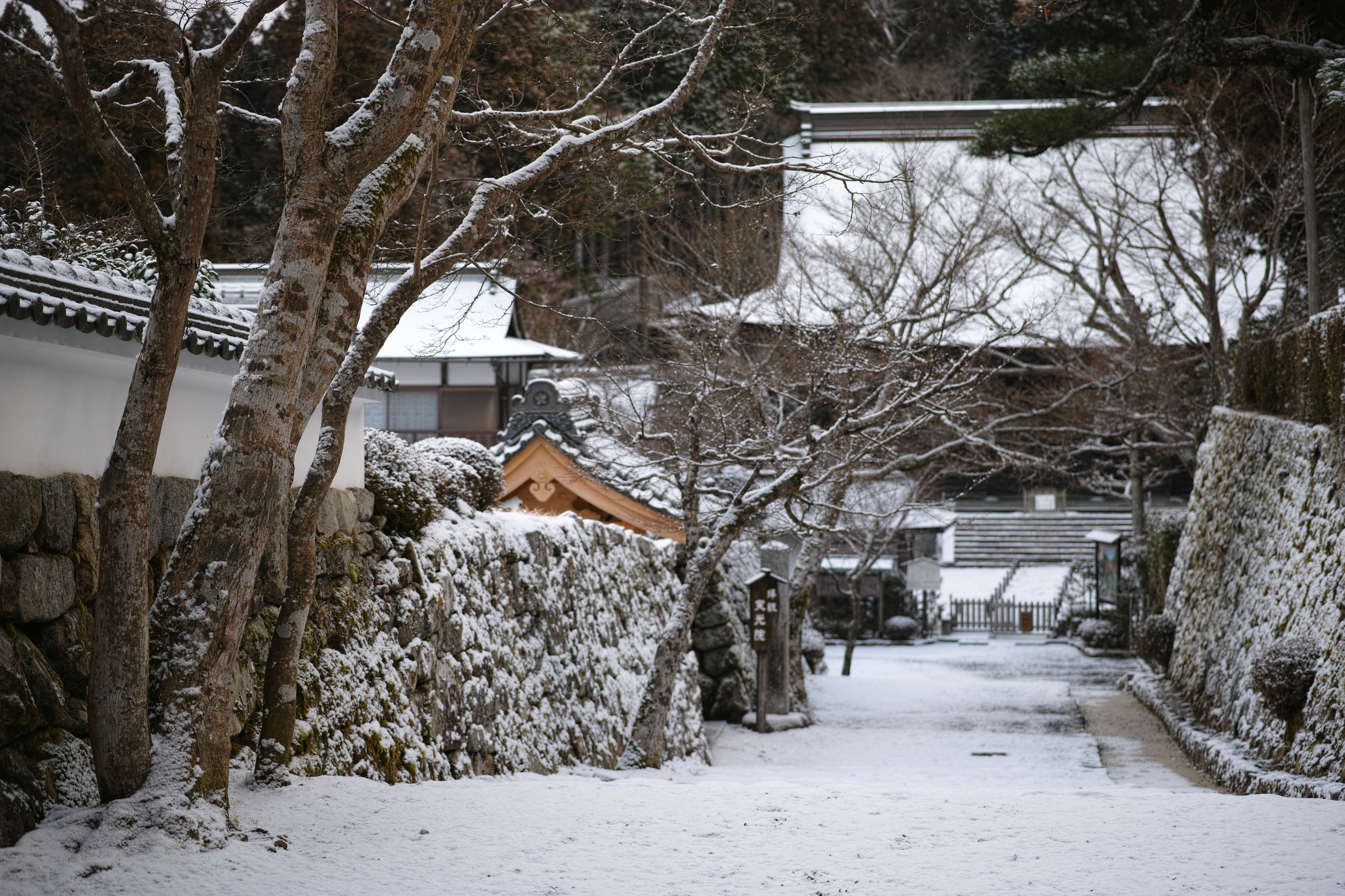 http://www.yaotomi.co.jp/blog/walk/SDIM0019x.jpg