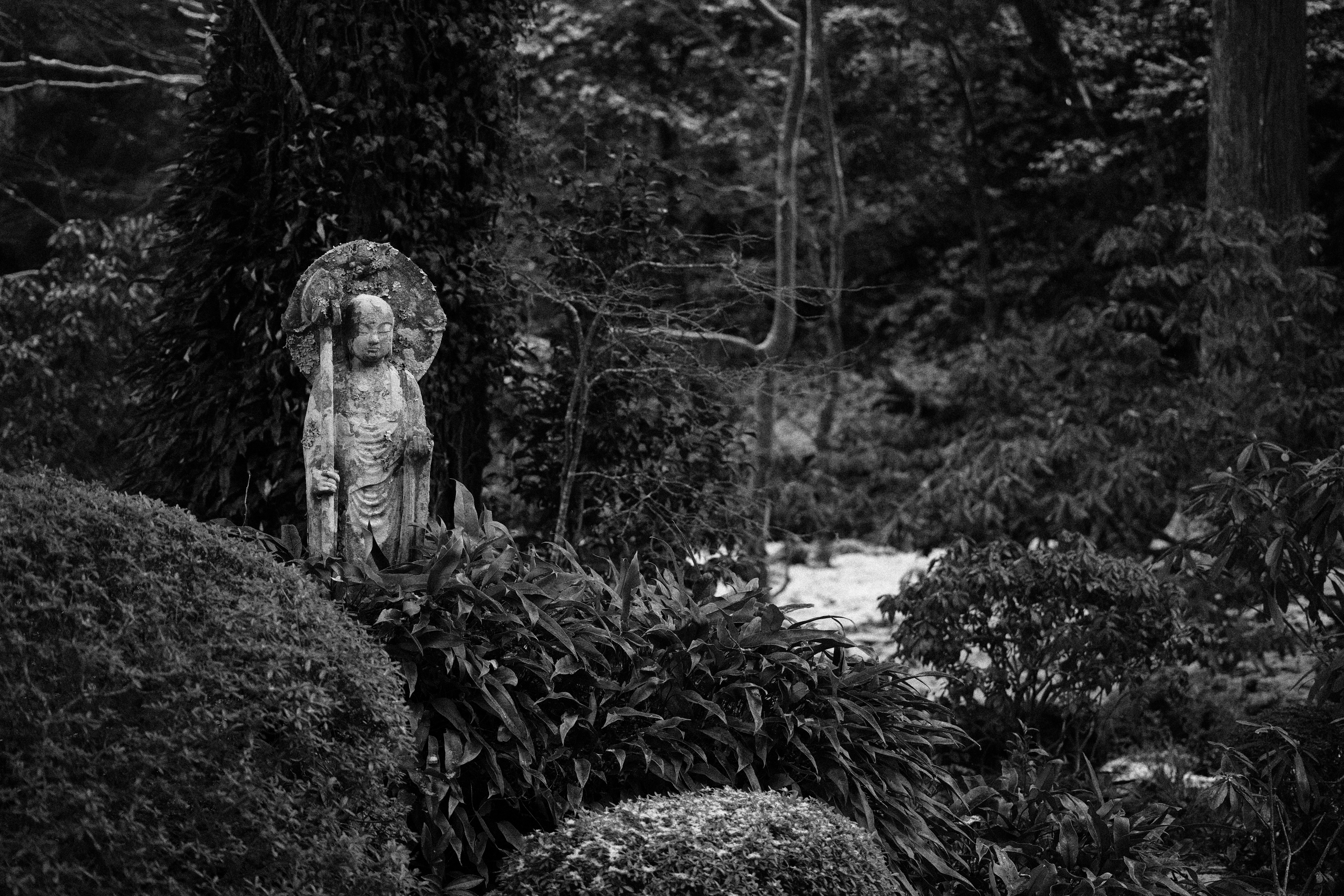 http://www.yaotomi.co.jp/blog/walk/SDIM0084_bw.jpg