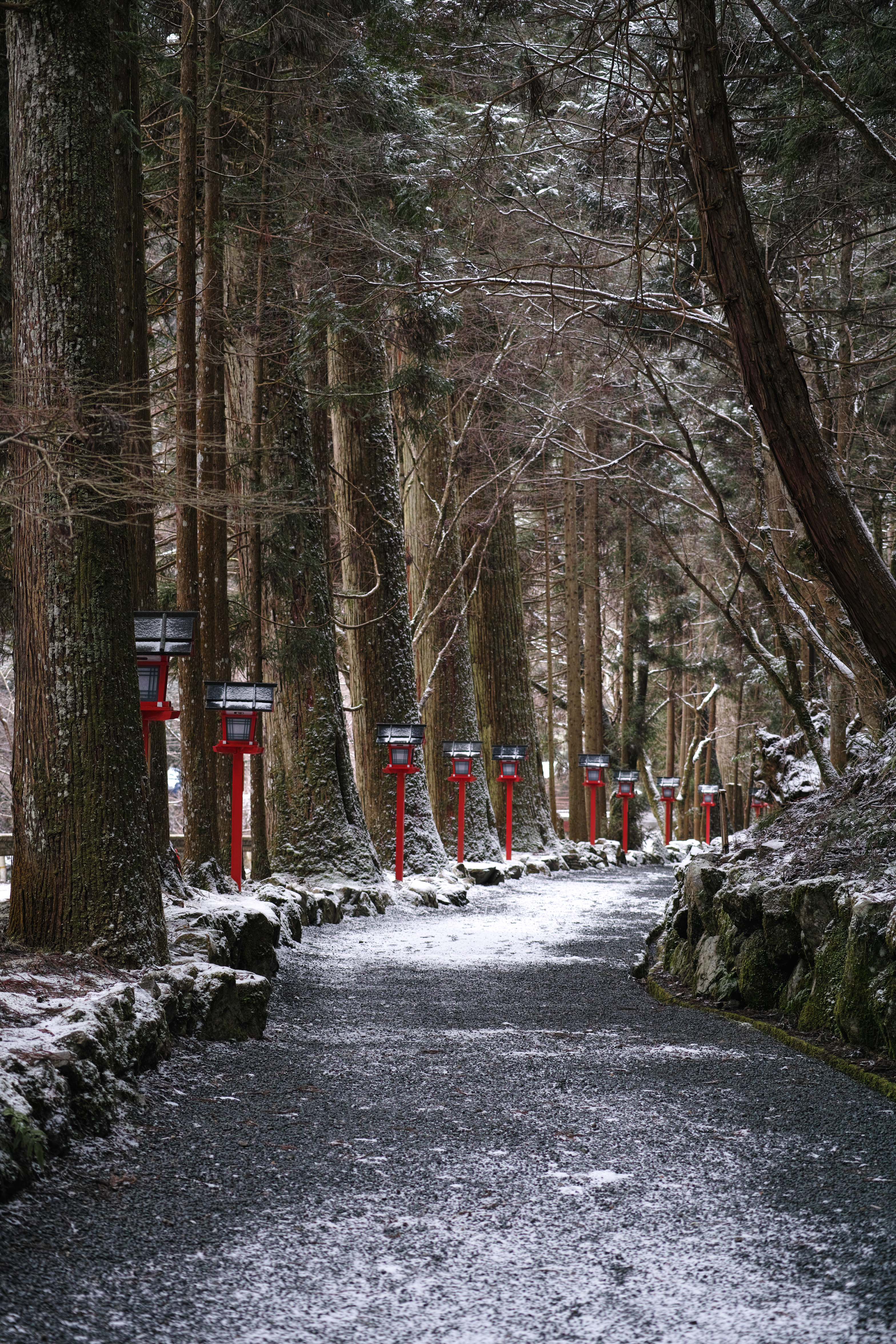 http://www.yaotomi.co.jp/blog/walk/SDIM0172c.jpg