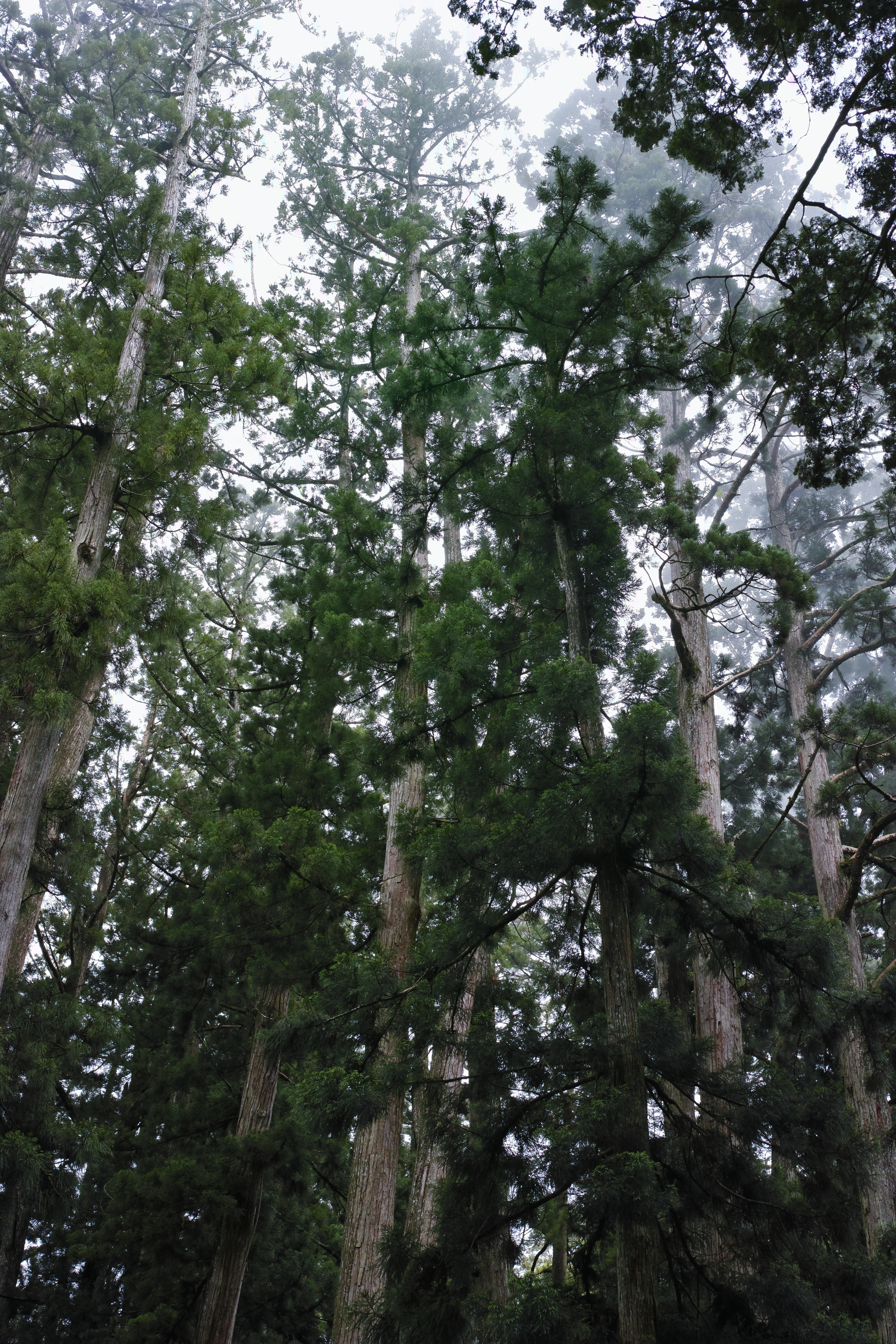 http://www.yaotomi.co.jp/blog/walk/SDIM0228.jpg