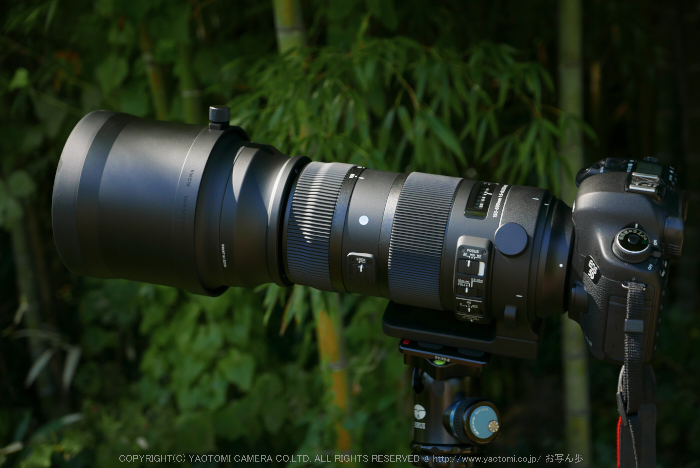 SIGMA 150-600mm F5-6.3 DG OS HSMカメラ