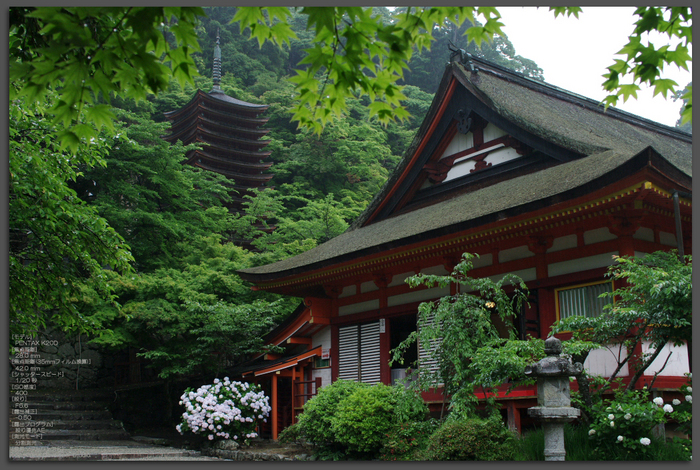 談山神社・雨の紫陽花 TOKINA AT-X 280 AF PRO - お写ん歩