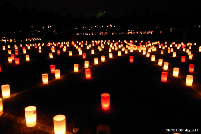 燈花会２０１０-春日野園地-1.jpg