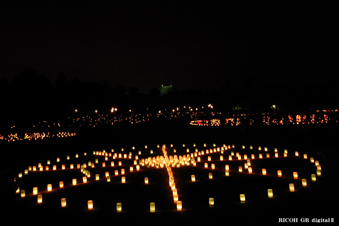 燈花会２０１０-春日野園地-2.jpg